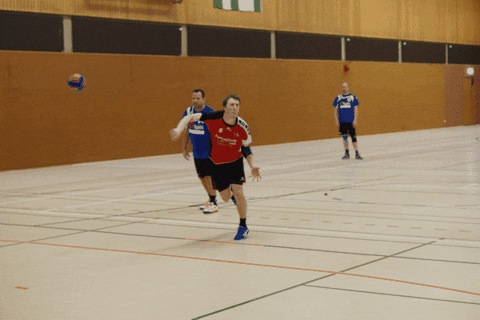 HSGLiGra giphyupload handball hsg lilienthal GIF