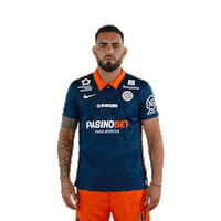 Allez Go Sticker by MHSC