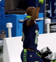 Regular Season Football GIF by NFL