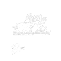Bremen Sticker by Becks Mühle