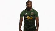 Celebrate Portland Timbers GIF by Timbers