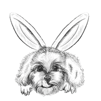 Snacks Treats Sticker by 8in1