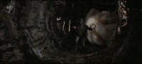 Star Wars GIF