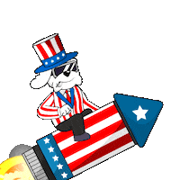 Independence Day Fireworks Sticker by BoDoggos