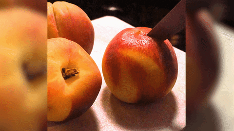 AvantYouth giphyupload GIF