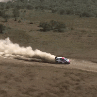 Racing Speed GIF by FIA World Rally Championship