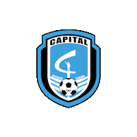 Heart Soccer Sticker by CapitalCF