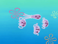 season 6 dear vikings GIF by SpongeBob SquarePants