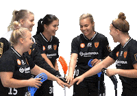 F-liiga floorball salibandy innebandy fliiga Sticker