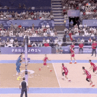 Olympic Games Sport GIF by NBC Olympics