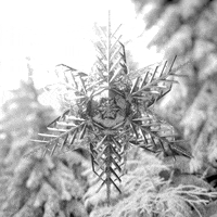 Loop Winter GIF by xponentialdesign