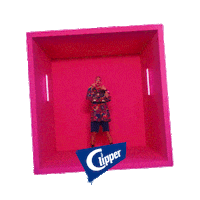 Artist Musica Sticker by Clipper