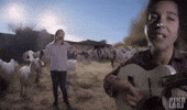 Guitar Country GIF by jorgemariozuleta