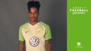 daniel didavi no GIF by VfL Wolfsburg