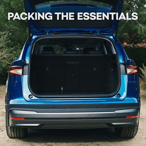 skodaglobal trip bags full road trip GIF
