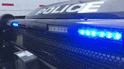 MSOSheriff  GIF