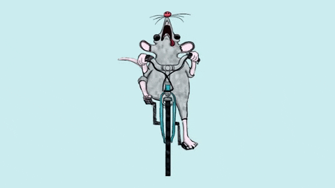 Bike Rat GIF by Duilio Gatti