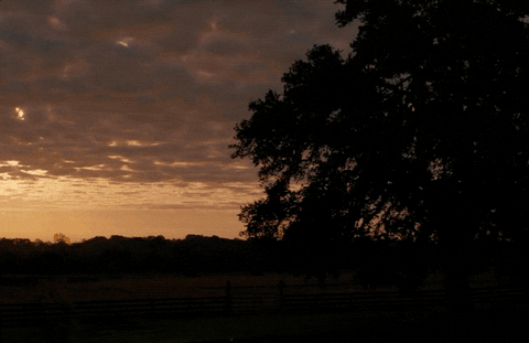 thelosthusband giphyupload texas sunset the lost husband GIF
