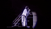 Steven Tyler 1980S GIF by Aerosmith