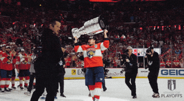 Stanley Cup Playoffs Win GIF by NHL
