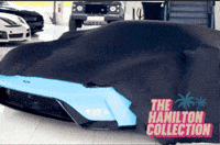 Ford Gt GIF by TheHamiltonCollection