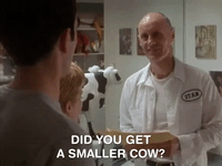 the mystery files of shelby woo nicksplat GIF