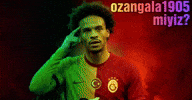 Ozangala_ozanvidds  GIF