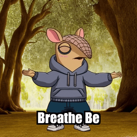 Wisdom Mindfulness GIF by Chillo Dillo
