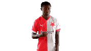 Football Soccer Sticker by SK Slavia Praha