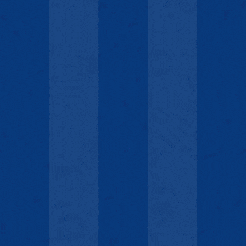 Soccer Goal GIF by Odense Boldklub