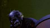 GIF by Slipknot