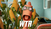 What The Wow GIF by Wind Sun Sky Entertainment