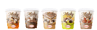 chocolatesmapsa chocolate reposteria chocolateria mapsa Sticker