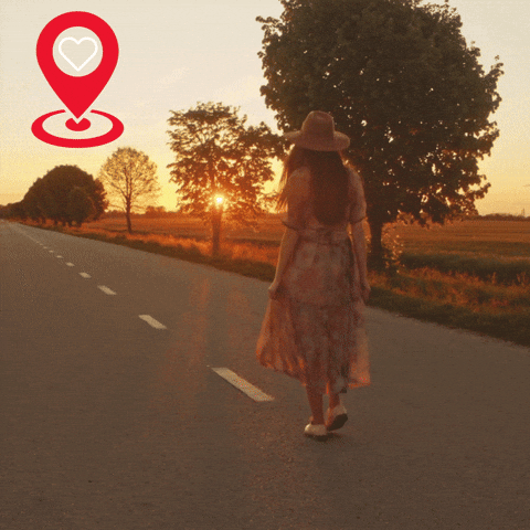 Afinidad Emocional - Sistema GPS Emocional