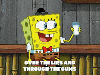 season 5 GIF by SpongeBob SquarePants