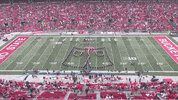 Spongebob Squarepants Fun GIF by tbdbitl