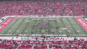 Spongebob Squarepants Fun GIF by tbdbitl