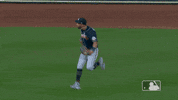 Excited Major League Baseball GIF by MLB