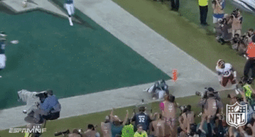philadelphia eagles football GIF by NFL