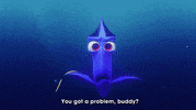 do ya? finding nemo GIF