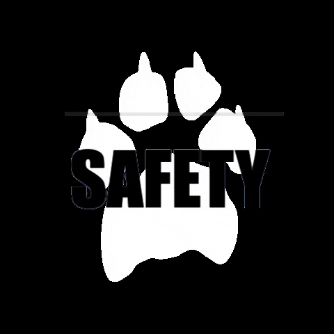 MaxGlobalProducts giphygifmaker glitch safety paw GIF