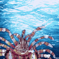 Lion Fish Swimming GIF by The Masked Singer UK & The Masked Dancer UK