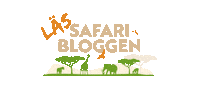 Safari Blogg Sticker by Afrikakompaniet