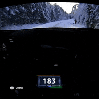Speeding Fast Car GIF by FIA World Rally Championship