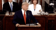 State Of The Union 2020 GIF by GIPHY News