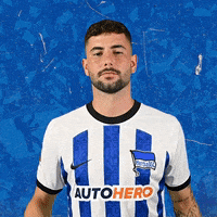 Sport Bundesliga GIF by Hertha BSC