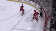 ice hockey GIF by NHL
