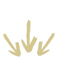 Unc Charlotte Arrows Sticker by CLT Admissions