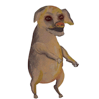 Cosarara Sticker