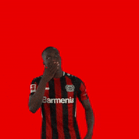 I Love You Smile GIF by Bayer 04 Leverkusen